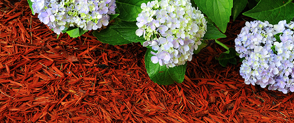 Sun Chemical Colorants for Mulch Applications