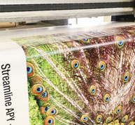 Digital-Printing-Peacock-Using-Streamline-APY-Inks