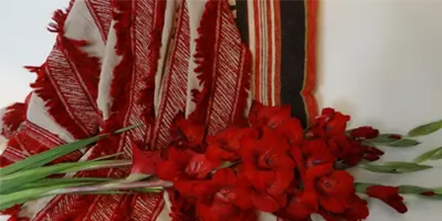 red-plastic-fiber-pigment
