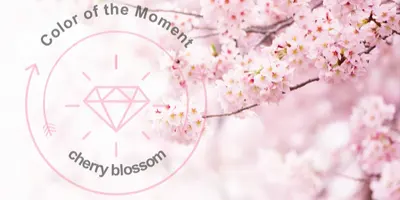 Color-Moment-Cosmetics-Cherry-Blossom