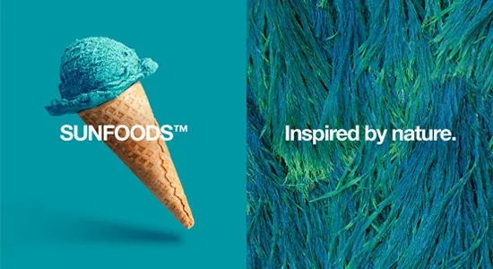 SunFOODS-IceCream-Fir-Teal