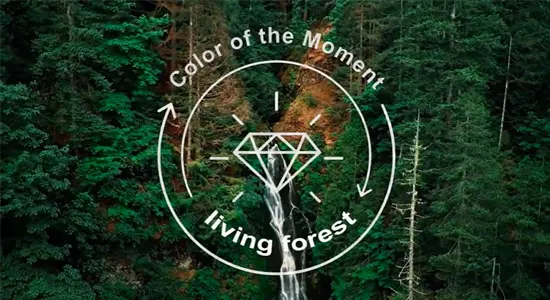 Living-Forest-Color-of-Moment-Cosmetics