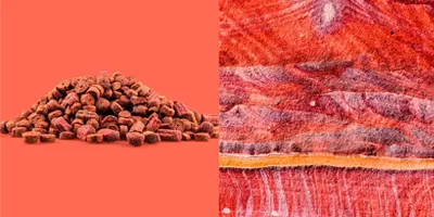 dogfood-texture-meat