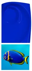 Underwater-Fantasy-Color-Moment-Blue