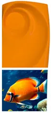 Orange-Pigment-Fish