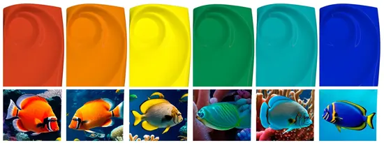 Underwater-Fantasy-Color-Palette-Inspired-Fish-Coral-Reef
