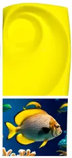 Yellow-Pigment-Fish