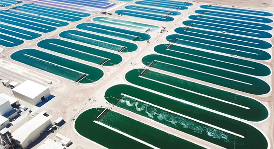 Earthrise-Spirulina-Farm-in-California