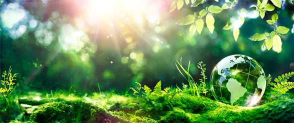 world-in-a-bubble-surrounded-by-trees-grass-green