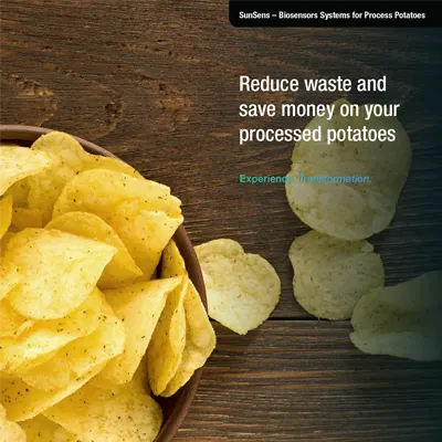 SunSens-Brochure-Cover-featuring-potatoes-potatochips