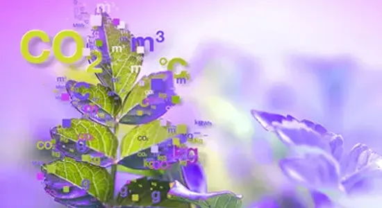 green-leaves-on-purple-flower-with-data-flowing-from-petals-leaves