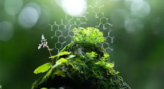 chemical-formulas-surrounding-green-plant