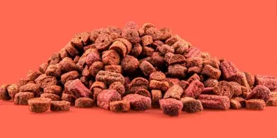pet-food-with-iron-oxides