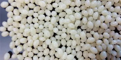 hot-melt-white-adhesive