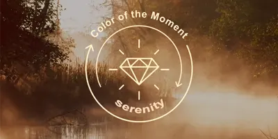 color-of-the-moment-serenity-logo-over-misty-pond-with-lily-pads-flowers